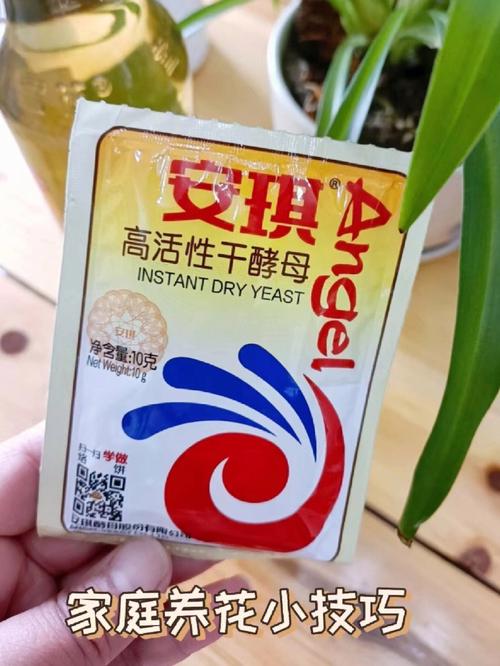 admin 第74页