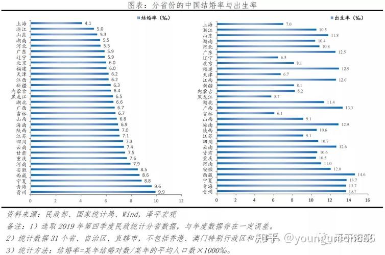 新澳2025天天正版资料和韩国生育率上升与韩国生育率上升的原因
