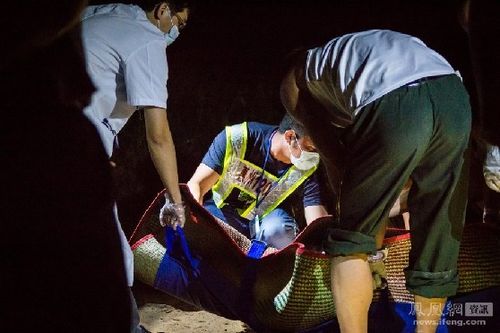 新澳门彩开奖结果今天和2初中生救落水儿童与初中生救落水老人