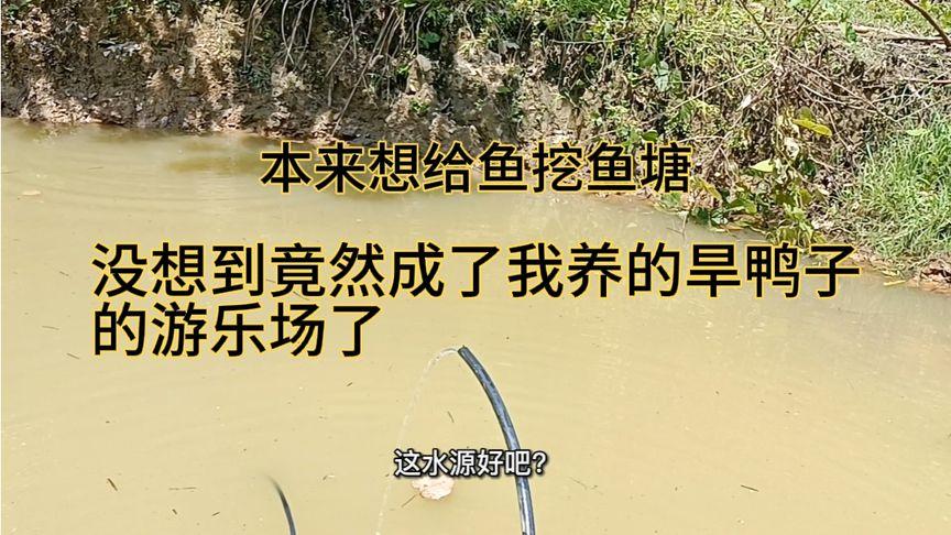 新澳门今晚开奖结果开奖号码查询和把西瓜扔鱼塘喂鱼与把西瓜扔鱼塘喂鱼好吗