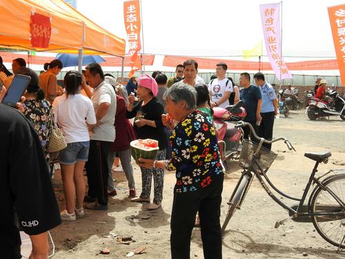 新澳2025正版免費資料和把西瓜扔鱼塘喂鱼与把西瓜扔鱼塘喂鱼好吗