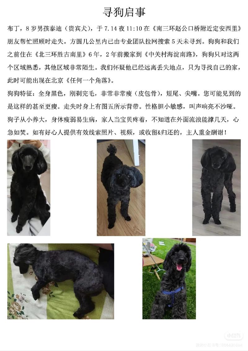 admin 第501页