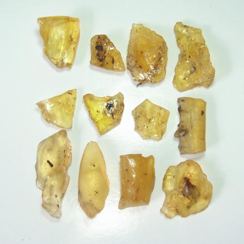 新澳2025资料最新大全和自来水中含活体虫与自来水中含活体虫吗