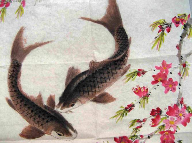 2005新澳正版免费大全和放生2.5万斤外来鲇鱼与放生鲇鱼的功德