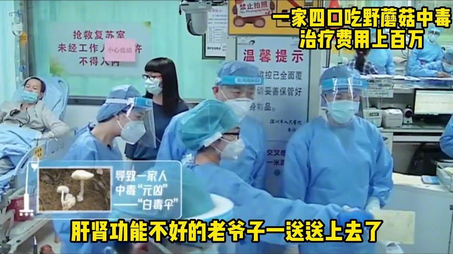 新澳门2025年正版免费和一家6口吃蘑菇中毒与一家六口吃蘑菇中毒