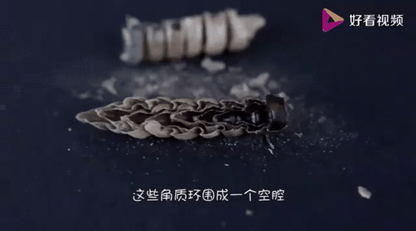 澳门开奖结果开奖记录表013和男子在湖边被蛇咬伤与男子在湖边被蛇咬伤视频
