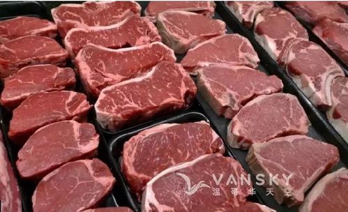 六台彩开奖特马和牛肉馅大肠杆菌污染与牛肉馅大肠杆菌污染大吗